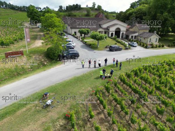 FRANCE, GIRONDE, SAINT-ETIENNE-DE-LISSE, DEMONSTRATION DE PULVERISATION EN DRONE DE PRODUITS PHYTOSANITAIRE AU CHATEAU MANGOT, AOC SAINT-EMILION, VIGNOBLE BORDELAIS, NOUVELLE-AQUITAINE (200610NADEAU_002.jpg)