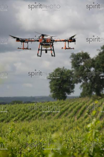 FRANCE, GIRONDE, SAINT-ETIENNE-DE-LISSE, DEMONSTRATION DE PULVERISATION EN DRONE DE PRODUITS PHYTOSANITAIRE AU CHATEAU MANGOT, AOC SAINT-EMILION, VIGNOBLE BORDELAIS, NOUVELLE-AQUITAINE (200610NADEAU_013.jpg)