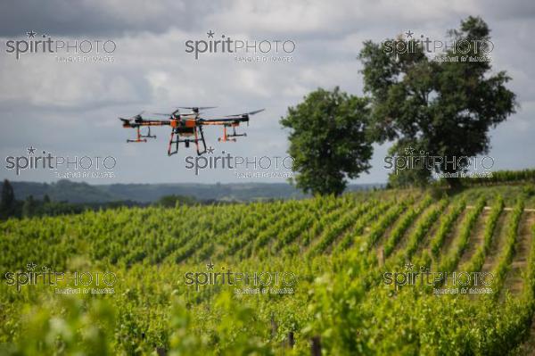 FRANCE, GIRONDE, SAINT-ETIENNE-DE-LISSE, DEMONSTRATION DE PULVERISATION EN DRONE DE PRODUITS PHYTOSANITAIRE AU CHATEAU MANGOT, AOC SAINT-EMILION, VIGNOBLE BORDELAIS, NOUVELLE-AQUITAINE (200610NADEAU_016.jpg)