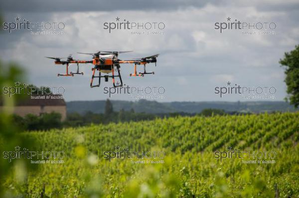 FRANCE, GIRONDE, SAINT-ETIENNE-DE-LISSE, DEMONSTRATION DE PULVERISATION EN DRONE DE PRODUITS PHYTOSANITAIRE AU CHATEAU MANGOT, AOC SAINT-EMILION, VIGNOBLE BORDELAIS, NOUVELLE-AQUITAINE (200610NADEAU_017.jpg)