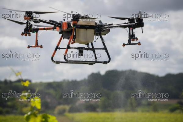 FRANCE, GIRONDE, SAINT-ETIENNE-DE-LISSE, DEMONSTRATION DE PULVERISATION EN DRONE DE PRODUITS PHYTOSANITAIRE AU CHATEAU MANGOT, AOC SAINT-EMILION, VIGNOBLE BORDELAIS, NOUVELLE-AQUITAINE (200610NADEAU_021.jpg)