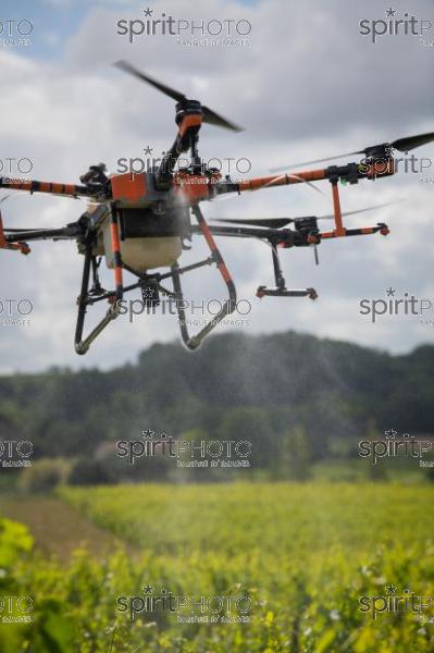 FRANCE, GIRONDE, SAINT-ETIENNE-DE-LISSE, DEMONSTRATION DE PULVERISATION EN DRONE DE PRODUITS PHYTOSANITAIRE AU CHATEAU MANGOT, AOC SAINT-EMILION, VIGNOBLE BORDELAIS, NOUVELLE-AQUITAINE (200610NADEAU_022.jpg)