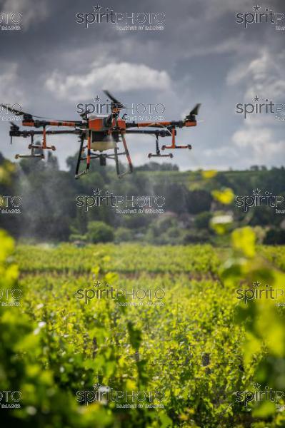 FRANCE, GIRONDE, SAINT-ETIENNE-DE-LISSE, DEMONSTRATION DE PULVERISATION EN DRONE DE PRODUITS PHYTOSANITAIRE AU CHATEAU MANGOT, AOC SAINT-EMILION, VIGNOBLE BORDELAIS, NOUVELLE-AQUITAINE (200610NADEAU_023.jpg)