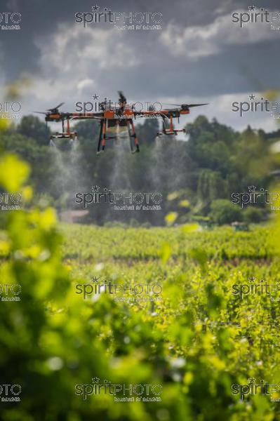 FRANCE, GIRONDE, SAINT-ETIENNE-DE-LISSE, DEMONSTRATION DE PULVERISATION EN DRONE DE PRODUITS PHYTOSANITAIRE AU CHATEAU MANGOT, AOC SAINT-EMILION, VIGNOBLE BORDELAIS, NOUVELLE-AQUITAINE (200610NADEAU_025.jpg)