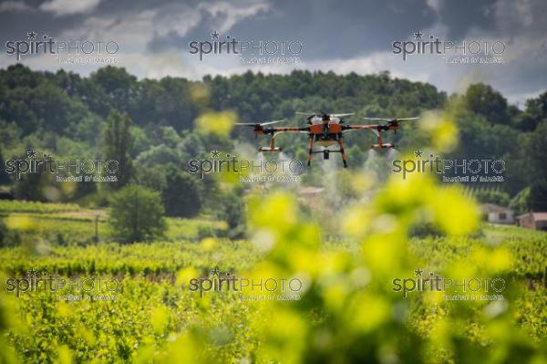 FRANCE, GIRONDE, SAINT-ETIENNE-DE-LISSE, DEMONSTRATION DE PULVERISATION EN DRONE DE PRODUITS PHYTOSANITAIRE AU CHATEAU MANGOT, AOC SAINT-EMILION, VIGNOBLE BORDELAIS, NOUVELLE-AQUITAINE (200610NADEAU_028.jpg)