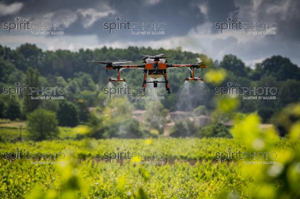 FRANCE, GIRONDE, SAINT-ETIENNE-DE-LISSE, DEMONSTRATION DE PULVERISATION EN DRONE DE PRODUITS PHYTOSANITAIRE AU CHATEAU MANGOT, AOC SAINT-EMILION, VIGNOBLE BORDELAIS, NOUVELLE-AQUITAINE (200610NADEAU_029.jpg)