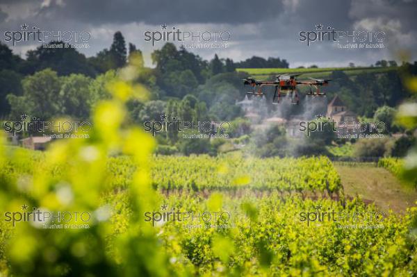 FRANCE, GIRONDE, SAINT-ETIENNE-DE-LISSE, DEMONSTRATION DE PULVERISATION EN DRONE DE PRODUITS PHYTOSANITAIRE AU CHATEAU MANGOT, AOC SAINT-EMILION, VIGNOBLE BORDELAIS, NOUVELLE-AQUITAINE (200610NADEAU_031.jpg)