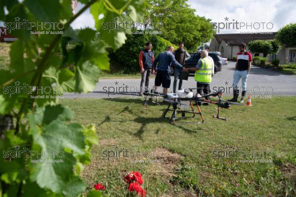 FRANCE, GIRONDE, SAINT-ETIENNE-DE-LISSE, DEMONSTRATION DE PULVERISATION EN DRONE DE PRODUITS PHYTOSANITAIRE AU CHATEAU MANGOT, AOC SAINT-EMILION, VIGNOBLE BORDELAIS, NOUVELLE-AQUITAINE (200610NADEAU_038.jpg)