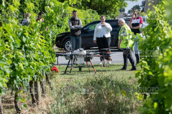 FRANCE, GIRONDE, SAINT-ETIENNE-DE-LISSE, DEMONSTRATION DE PULVERISATION EN DRONE DE PRODUITS PHYTOSANITAIRE AU CHATEAU MANGOT, AOC SAINT-EMILION, VIGNOBLE BORDELAIS, NOUVELLE-AQUITAINE (200610NADEAU_039.jpg)