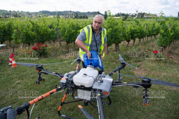 FRANCE, GIRONDE, SAINT-ETIENNE-DE-LISSE, DEMONSTRATION DE PULVERISATION EN DRONE DE PRODUITS PHYTOSANITAIRE AU CHATEAU MANGOT, AOC SAINT-EMILION, VIGNOBLE BORDELAIS, NOUVELLE-AQUITAINE (200610NADEAU_042.jpg)