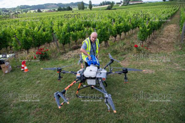 FRANCE, GIRONDE, SAINT-ETIENNE-DE-LISSE, DEMONSTRATION DE PULVERISATION EN DRONE DE PRODUITS PHYTOSANITAIRE AU CHATEAU MANGOT, AOC SAINT-EMILION, VIGNOBLE BORDELAIS, NOUVELLE-AQUITAINE (200610NADEAU_043.jpg)