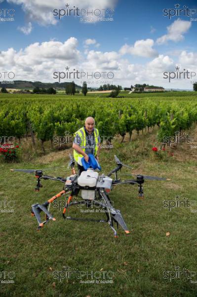 FRANCE, GIRONDE, SAINT-ETIENNE-DE-LISSE, DEMONSTRATION DE PULVERISATION EN DRONE DE PRODUITS PHYTOSANITAIRE AU CHATEAU MANGOT, AOC SAINT-EMILION, VIGNOBLE BORDELAIS, NOUVELLE-AQUITAINE (200610NADEAU_045.jpg)