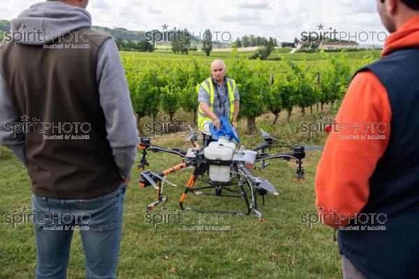 FRANCE, GIRONDE, SAINT-ETIENNE-DE-LISSE, DEMONSTRATION DE PULVERISATION EN DRONE DE PRODUITS PHYTOSANITAIRE AU CHATEAU MANGOT, AOC SAINT-EMILION, VIGNOBLE BORDELAIS, NOUVELLE-AQUITAINE (200610NADEAU_046.jpg)