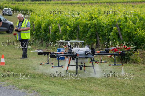 FRANCE, GIRONDE, SAINT-ETIENNE-DE-LISSE, DEMONSTRATION DE PULVERISATION EN DRONE DE PRODUITS PHYTOSANITAIRE AU CHATEAU MANGOT, AOC SAINT-EMILION, VIGNOBLE BORDELAIS, NOUVELLE-AQUITAINE (200610NADEAU_047.jpg)