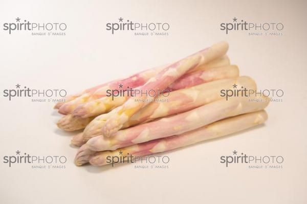 ASPERGES BLANCHES DES LANDES (40) //  FRANCE, RAW ORGANIC WHITE ASPARAGUS SPEARS READY TO EAT, LANDES (40) (200925JBNadeau_00058.jpg)