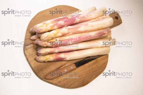 ASPERGES BLANCHES DES LANDES (40) //  FRANCE, RAW ORGANIC WHITE ASPARAGUS SPEARS READY TO EAT, LANDES (40) (200925JBNadeau_00064.jpg)