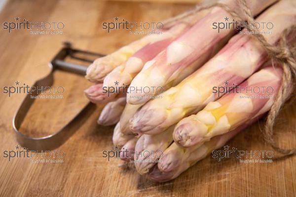 ASPERGES BLANCHES DES LANDES (40) //  FRANCE, RAW ORGANIC WHITE ASPARAGUS SPEARS READY TO EAT, LANDES (40) (200925JBNadeau_00066.jpg)