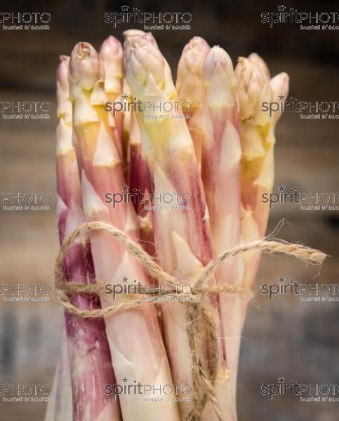 ASPERGES BLANCHES DES LANDES (40) //  FRANCE, RAW ORGANIC WHITE ASPARAGUS SPEARS READY TO EAT, LANDES (40) (200925JBNadeau_00072.jpg)