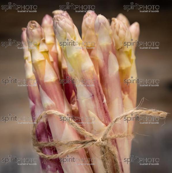 ASPERGES BLANCHES DES LANDES (40) //  FRANCE, RAW ORGANIC WHITE ASPARAGUS SPEARS READY TO EAT, LANDES (40) (200925JBNadeau_00073.jpg)