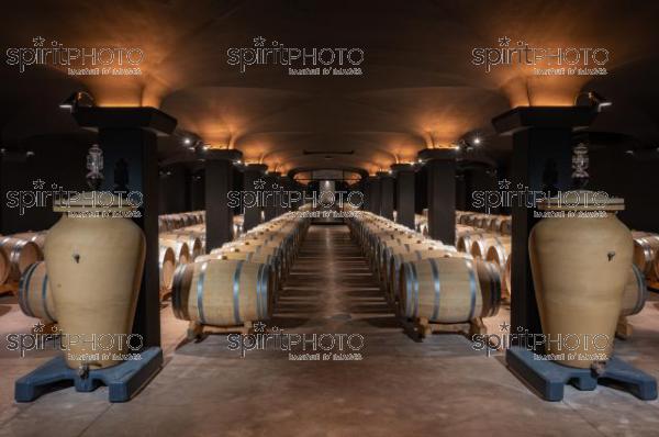 Chateau TrotteVieille, Premier Grand Cru Classé, Saint-Emilion, Gironde, France (20220428_Cephas_17.jpg)