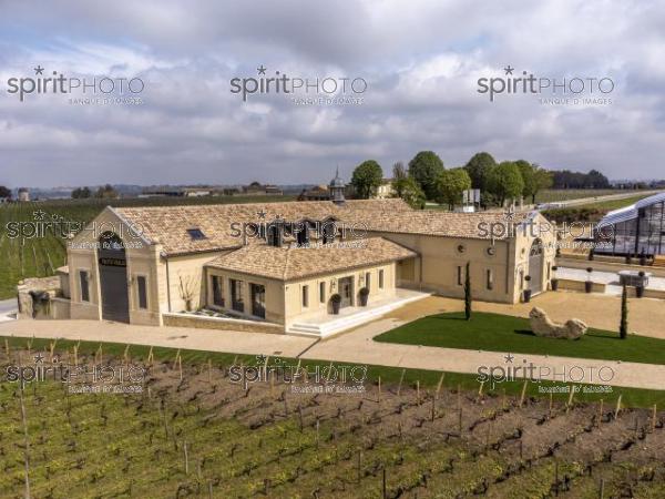 Chateau TrotteVieille, Premier Grand Cru Classé, Saint-Emilion, Gironde, France (20220428_Cephas_3.jpg)