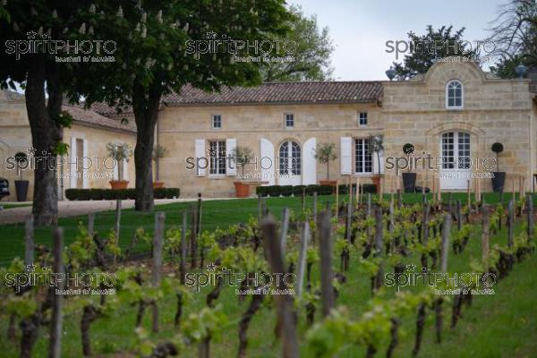 Chateau TrotteVieille, Premier Grand Cru Classé, Saint-Emilion, Gironde, France (20220428_Cephas_34.jpg)