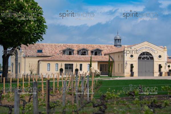 Chateau TrotteVieille, Premier Grand Cru ClassÃ©, Saint-Emilion, Gironde, France (20220428_Cephas_39.jpg)