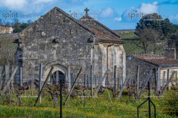 GIRONDE (33), SAINT-EMILION, CHATEAU AUSONE, VIGNE PLANTEE SUR LE ROCHER CALCAIRE ET LA CHAPELLE DES ANGES GARDIENS, 13 EME SIECLE, STYLE ROMAN, 1 ER GRAND CRU CLASSE A , AOC SAINT EMILION, VIGNOBLE DE BORDEAUX // FRANCE, GIRONDE (33), SAINT-EMILION, CHATEAU AUSONE, VINEYARD PLANT ON THE LIMESTONE ROCK AND THE CHAPEL OF THE GUARDIAN ANGELS, 13TH CENTURY, ROMAN STYLE, 1 ER GRAND CRU CLASSE A, AOC SAINT EMILION, BORDEAUX VINEYARD (210318JBNadeau_010.jpg)