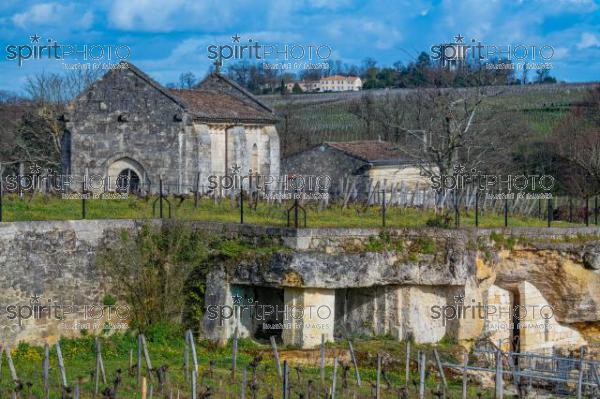 GIRONDE (33), SAINT-EMILION, CHATEAU AUSONE, VIGNE PLANTEE SUR LE ROCHER CALCAIRE ET LA CHAPELLE DES ANGES GARDIENS, 13 EME SIECLE, STYLE ROMAN, 1 ER GRAND CRU CLASSE A , AOC SAINT EMILION, VIGNOBLE DE BORDEAUX // FRANCE, GIRONDE (33), SAINT-EMILION, CHATEAU AUSONE, VINEYARD PLANT ON THE LIMESTONE ROCK AND THE CHAPEL OF THE GUARDIAN ANGELS, 13TH CENTURY, ROMAN STYLE, 1 ER GRAND CRU CLASSE A, AOC SAINT EMILION, BORDEAUX VINEYARD (210318JBNadeau_016.jpg)