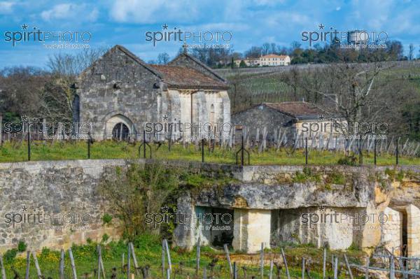 GIRONDE (33), SAINT-EMILION, CHATEAU AUSONE, VIGNE PLANTEE SUR LE ROCHER CALCAIRE ET LA CHAPELLE DES ANGES GARDIENS, 13 EME SIECLE, STYLE ROMAN, 1 ER GRAND CRU CLASSE A , AOC SAINT EMILION, VIGNOBLE DE BORDEAUX // FRANCE, GIRONDE (33), SAINT-EMILION, CHATEAU AUSONE, VINEYARD PLANT ON THE LIMESTONE ROCK AND THE CHAPEL OF THE GUARDIAN ANGELS, 13TH CENTURY, ROMAN STYLE, 1 ER GRAND CRU CLASSE A, AOC SAINT EMILION, BORDEAUX VINEYARD (210318JBNadeau_017.jpg)