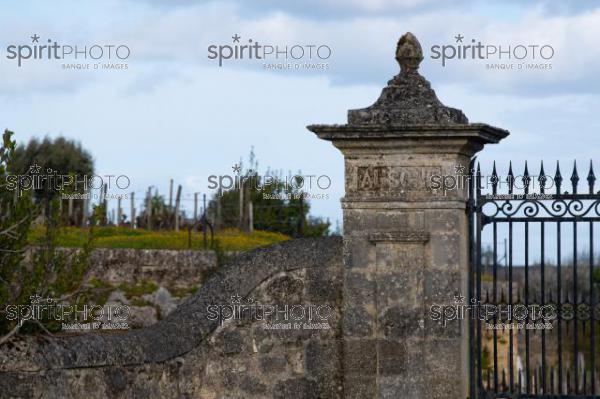 GIRONDE (33), SAINT-EMILION, PILIER DU PORTAIL DU CHATEAU AUSONE, 1 ER GRAND CRU CLASSE A , AOC SAINT EMILION, VIGNOBLE DE BORDEAUX // FRANCE, GIRONDE (33), SAINT-EMILION, PILLAR OF THE PORTAL OF CHATEAU AUSONE, 1 ER GRAND CRU CLASSE A, AOC SAINT EMILION, BORDEAUX VINEYARD (210318JBNadeau_029.jpg)