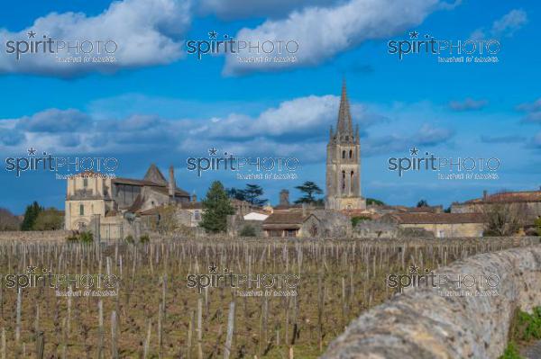 GIRONDE (33), SAINT-EMILION, VILLAGE DE SAINT-EMILION, L' EGLISE COLLEGIALE, LE CLOCHER DE L' EGLISE MONOLITHE DANS LE VIGNOBLE // FRANCE, GIRONDE (33), SAINT-EMILION, VILLAGE OF SAINT-EMILION, THE COLLEGIAL CHURCH, THE TOWER OF THE MONOLITH CHURCH IN THE VINEYARD (210318JBNadeau_041.jpg)