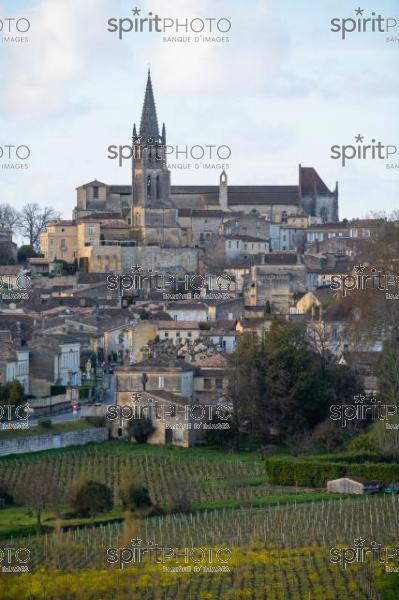 GIRONDE (33), SAINT-EMILION, VILLAGE DE SAINT-EMILION, L' EGLISE COLLEGIALE, LE CLOCHER DE L' EGLISE MONOLITHE DANS LE VIGNOBLE // FRANCE, GIRONDE (33), SAINT-EMILION, VILLAGE OF SAINT-EMILION, THE COLLEGIAL CHURCH, THE TOWER OF THE MONOLITH CHURCH IN THE VINEYARD (210318JBNadeau_047.jpg)