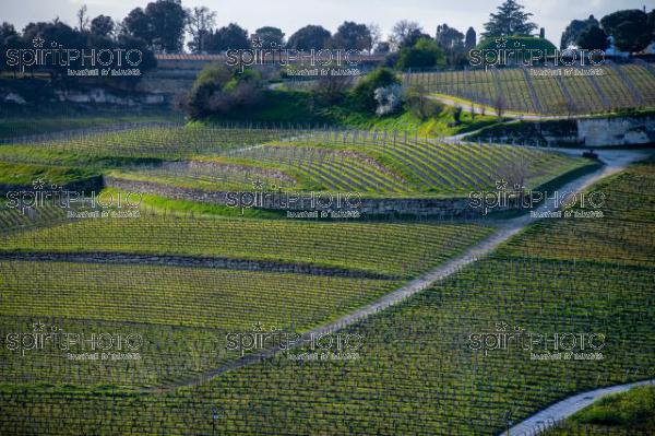 GIRONDE (33), SAINT-EMILION, AGRICULTURE DE PRECISION, STATION METEO SENCROP INSTALLE SUR LE VIGNOBLE DE SAINT-EMILION, VIGNOBLE DU BORDELAIS // FRANCE, GIRONDE (33), SAINT-EMILION, PRECISION AGRICULTURE, SENCROP WEATHER STATION INSTALLED ON THE SAINT-EMILION VINEYARD, BORDEAUX VINEYARD (210318JBNadeau_054.jpg)