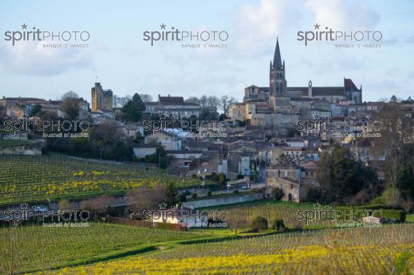 GIRONDE (33), SAINT-EMILION, VILLAGE DE SAINT-EMILION, L' EGLISE COLLEGIALE, LE CLOCHER DE L' EGLISE MONOLITHE DANS LE VIGNOBLE // FRANCE, GIRONDE (33), SAINT-EMILION, VILLAGE OF SAINT-EMILION, THE COLLEGIAL CHURCH, THE TOWER OF THE MONOLITH CHURCH IN THE VINEYARD (210318JBNadeau_055.jpg)