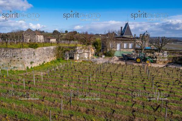 GIRONDE (33), SAINT-EMILION, CHATEAU AUSONE, VIGNE PLANTEE SUR LE ROCHER CALCAIRE ET LA CHAPELLE DES ANGES GARDIENS, 13 EME SIECLE, STYLE ROMAN, 1 ER GRAND CRU CLASSE A , AOC SAINT EMILION, VIGNOBLE DE BORDEAUX // FRANCE, GIRONDE (33), SAINT-EMILION, CHATEAU AUSONE, VINEYARD PLANT ON THE LIMESTONE ROCK AND THE CHAPEL OF THE GUARDIAN ANGELS, 13TH CENTURY, ROMAN STYLE, 1 ER GRAND CRU CLASSE A, AOC SAINT EMILION, BORDEAUX VINEYARD (210318JBNadeau_069.jpg)