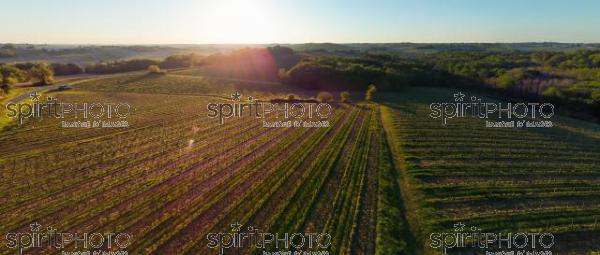 GIRONDE (33), OMET, VUE AERIENNE DU VIGNOBLE BORDELAIS AU PRINTEMPS DANS L'ENTRE DEUX MERS //  FRANCE, GIRONDE (33), OMET, AERIAL VIEW OF THE BORDEAUX VINEYARD IN SPRING IN THE BETWEEN TWO SEAS (210426JBNADEAU_001.jpg)