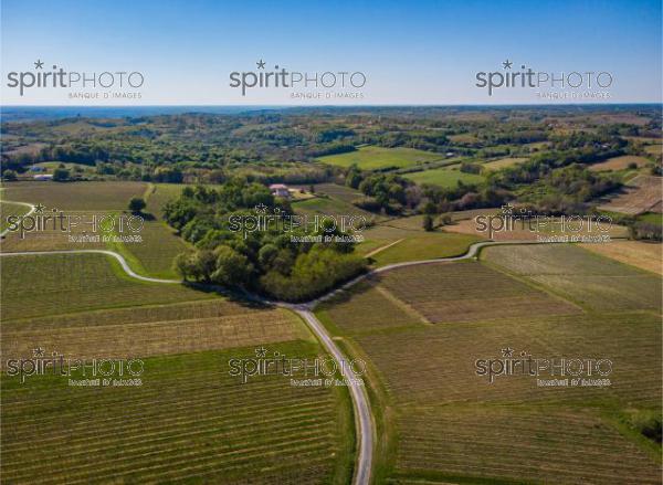 GIRONDE (33), OMET, VUE AERIENNE DU VIGNOBLE BORDELAIS AU PRINTEMPS DANS L'ENTRE DEUX MERS //  FRANCE, GIRONDE (33), OMET, AERIAL VIEW OF THE BORDEAUX VINEYARD IN SPRING IN THE BETWEEN TWO SEAS (210426JBNADEAU_003.jpg)