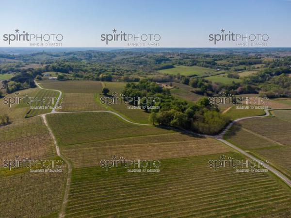 GIRONDE (33), OMET, VUE AERIENNE DU VIGNOBLE BORDELAIS AU PRINTEMPS DANS L'ENTRE DEUX MERS //  FRANCE, GIRONDE (33), OMET, AERIAL VIEW OF THE BORDEAUX VINEYARD IN SPRING IN THE BETWEEN TWO SEAS (210426JBNADEAU_005.jpg)