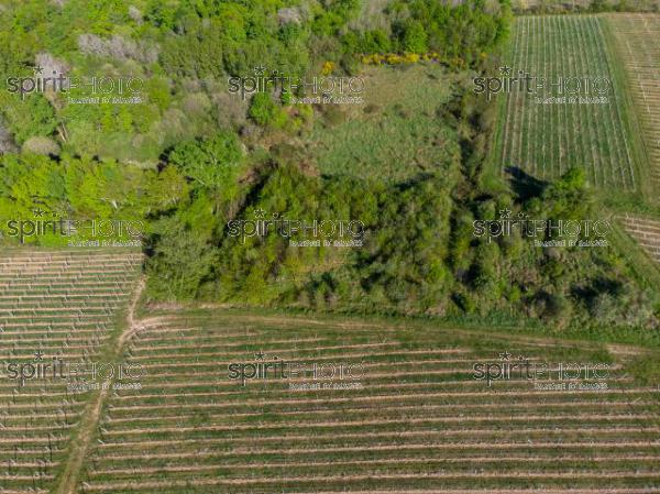 GIRONDE (33), OMET, VUE AERIENNE DU VIGNOBLE BORDELAIS AU PRINTEMPS DANS L'ENTRE DEUX MERS //  FRANCE, GIRONDE (33), OMET, AERIAL VIEW OF THE BORDEAUX VINEYARD IN SPRING IN THE BETWEEN TWO SEAS (210426JBNADEAU_008.jpg)