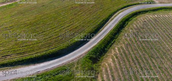 GIRONDE (33), OMET, VUE AERIENNE DU VIGNOBLE BORDELAIS AU PRINTEMPS DANS L'ENTRE DEUX MERS //  FRANCE, GIRONDE (33), OMET, AERIAL VIEW OF THE BORDEAUX VINEYARD IN SPRING IN THE BETWEEN TWO SEAS (210426JBNADEAU_010.jpg)