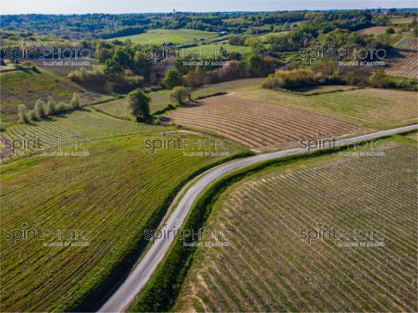 GIRONDE (33), OMET, VUE AERIENNE DU VIGNOBLE BORDELAIS AU PRINTEMPS DANS L'ENTRE DEUX MERS //  FRANCE, GIRONDE (33), OMET, AERIAL VIEW OF THE BORDEAUX VINEYARD IN SPRING IN THE BETWEEN TWO SEAS (210426JBNADEAU_011.jpg)