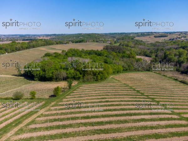 GIRONDE (33), OMET, VUE AERIENNE DU VIGNOBLE BORDELAIS AU PRINTEMPS DANS L'ENTRE DEUX MERS //  FRANCE, GIRONDE (33), OMET, AERIAL VIEW OF THE BORDEAUX VINEYARD IN SPRING IN THE BETWEEN TWO SEAS (210426JBNADEAU_012.jpg)