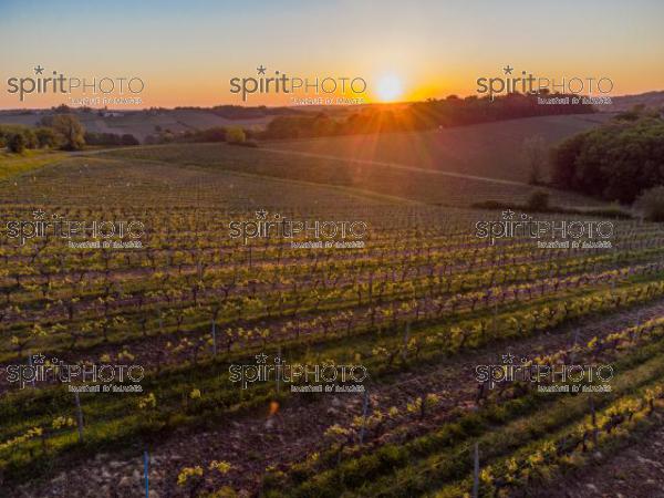 GIRONDE (33), OMET, VUE AERIENNE DU VIGNOBLE BORDELAIS AU PRINTEMPS DANS L'ENTRE DEUX MERS //  FRANCE, GIRONDE (33), OMET, AERIAL VIEW OF THE BORDEAUX VINEYARD IN SPRING IN THE BETWEEN TWO SEAS (210426JBNADEAU_015.jpg)