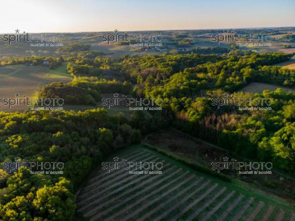 GIRONDE (33), OMET, VUE AERIENNE DU VIGNOBLE BORDELAIS AU PRINTEMPS DANS L'ENTRE DEUX MERS //  FRANCE, GIRONDE (33), OMET, AERIAL VIEW OF THE BORDEAUX VINEYARD IN SPRING IN THE BETWEEN TWO SEAS (210426JBNADEAU_020.jpg)