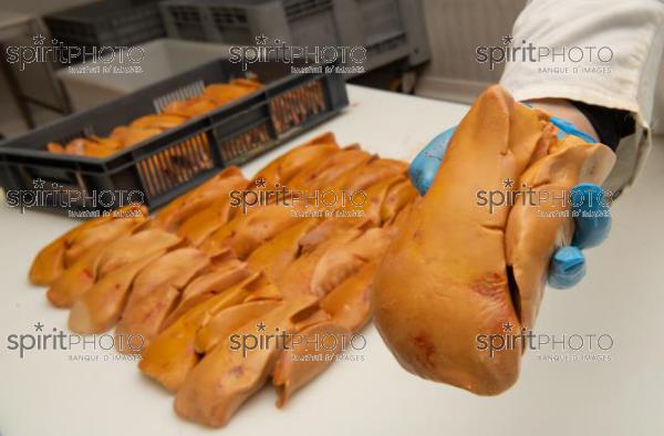 GIRONDE (33), AUROS, COOPERATIVE AGRICOLE PALMAGRI, FOIE GRAS DE CANARD FERMIER ELEVES EN PLEIN AIR. CANARD ELEVE AU MAIS JAUNE.// FRANCE, GIRONDE (33), AUROS, AGRICULTURAL COOPERATIVE PALMAGRI, FARM DUCK FOIE GRAS FARMED OUTDOOR. DUCK BREED IN YELLOW CORN. (211129JBNadeau_005.jpg)