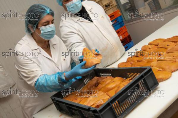 GIRONDE (33), AUROS, COOPERATIVE AGRICOLE PALMAGRI, FOIE GRAS DE CANARD FERMIER ELEVES EN PLEIN AIR. CANARD ELEVE AU MAIS JAUNE.// FRANCE, GIRONDE (33), AUROS, AGRICULTURAL COOPERATIVE PALMAGRI, FARM DUCK FOIE GRAS FARMED OUTDOOR. DUCK BREED IN YELLOW CORN. (211129JBNadeau_009.jpg)