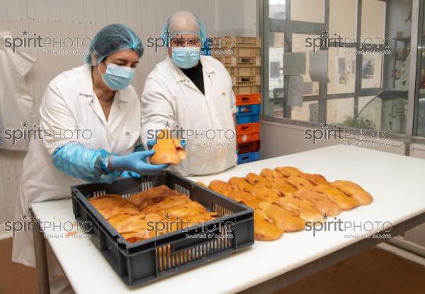 GIRONDE (33), AUROS, COOPERATIVE AGRICOLE PALMAGRI, FOIE GRAS DE CANARD FERMIER ELEVES EN PLEIN AIR. CANARD ELEVE AU MAIS JAUNE.// FRANCE, GIRONDE (33), AUROS, AGRICULTURAL COOPERATIVE PALMAGRI, FARM DUCK FOIE GRAS FARMED OUTDOOR. DUCK BREED IN YELLOW CORN. (211129JBNadeau_010.jpg)