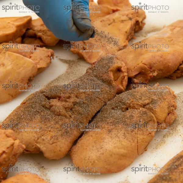 GIRONDE (33), AUROS, COOPERATIVE AGRICOLE PALMAGRI, FOIE GRAS DE CANARD FERMIER ELEVES EN PLEIN AIR. CANARD ELEVE AU MAIS JAUNE.// FRANCE, GIRONDE (33), AUROS, AGRICULTURAL COOPERATIVE PALMAGRI, FARM DUCK FOIE GRAS FARMED OUTDOOR. DUCK BREED IN YELLOW CORN. (211129JBNadeau_012.jpg)