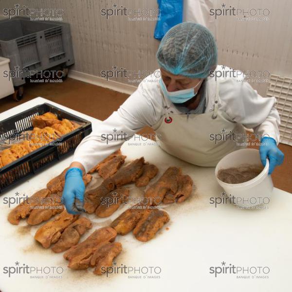 GIRONDE (33), AUROS, COOPERATIVE AGRICOLE PALMAGRI, FOIE GRAS DE CANARD FERMIER ELEVES EN PLEIN AIR. CANARD ELEVE AU MAIS JAUNE.// FRANCE, GIRONDE (33), AUROS, AGRICULTURAL COOPERATIVE PALMAGRI, FARM DUCK FOIE GRAS FARMED OUTDOOR. DUCK BREED IN YELLOW CORN. (211129JBNadeau_013.jpg)